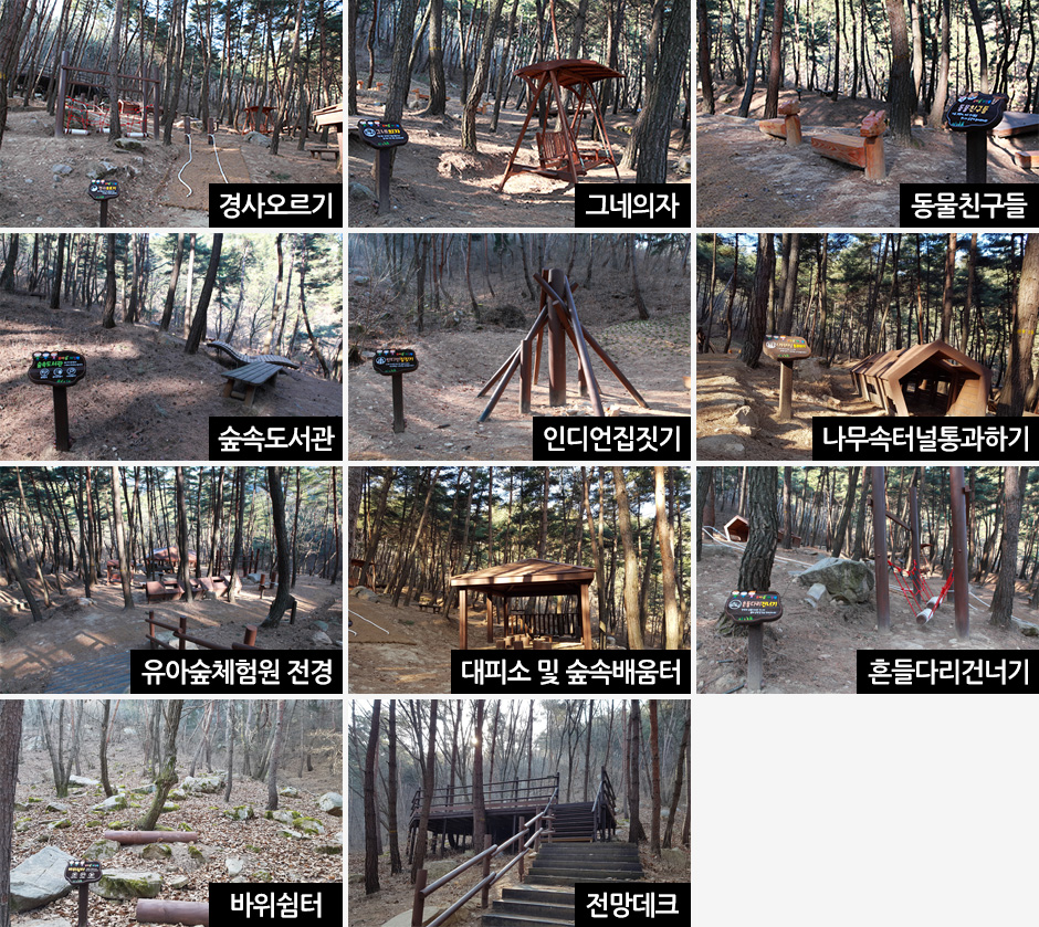 경사오르기, 그네의자, 동물친구들, 숲속도서관, 인디언집짓기, 나무속터널통과하기, 유아숲체험원전경, 대피소 및 숲속배움터, 흔들다리건너기, 바위쉼터, 전망대크 등 유아 숲 체험원 시설 사진